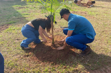 Foto relacionada - Prefeitura de Itaí celebra Dia da Árvore com plantio de mudas e valorização dos biomas locais