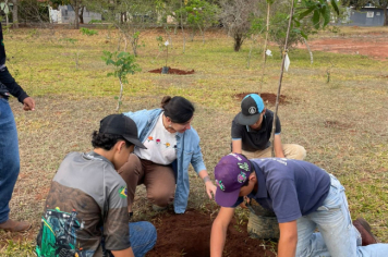 Foto relacionada - Prefeitura de Itaí celebra Dia da Árvore com plantio de mudas e valorização dos biomas locais