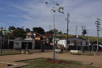 Praças dos Bairros Beira Rio e Recanto dos Pássaros ganharam árvores na semana do meio ambiente em Itaí