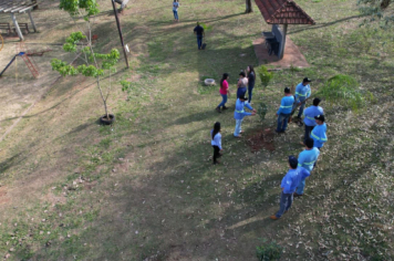Foto - Programa Municipal Pomares de Cerrado e Mata Atlântica