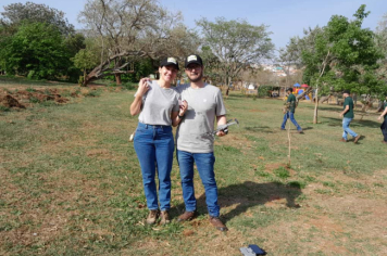 Foto - Programa Municipal Pomares de Cerrado e Mata Atlântica