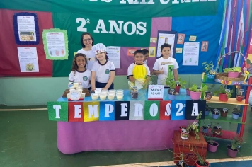 Foto - JEPP - Escola Elza Rolim