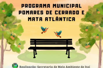 Foto - Programa Municipal Pomares de Cerrado e Mata Atlântica
