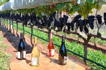 Foto relacionada - Município de Itaí participa da Boat Show 2025