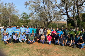 Foto - Programa Municipal Pomares de Cerrado e Mata Atlântica