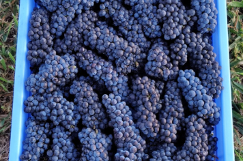 Foto relacionada - Município de Itaí participa da Boat Show 2025