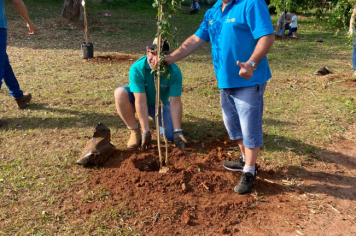 Foto - Programa Municipal Pomares de Cerrado e Mata Atlântica
