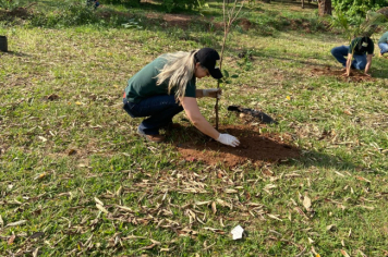 Foto - Programa Municipal Pomares de Cerrado e Mata Atlântica