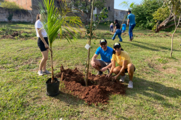 Foto - Programa Municipal Pomares de Cerrado e Mata Atlântica