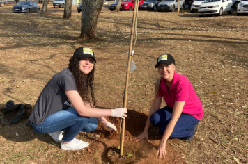 Foto - Programa Municipal Pomares de Cerrado e Mata Atlântica