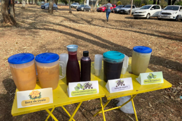 Foto - Programa Municipal Pomares de Cerrado e Mata Atlântica