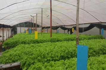 CAE realiza visitas a Produtores Rurais