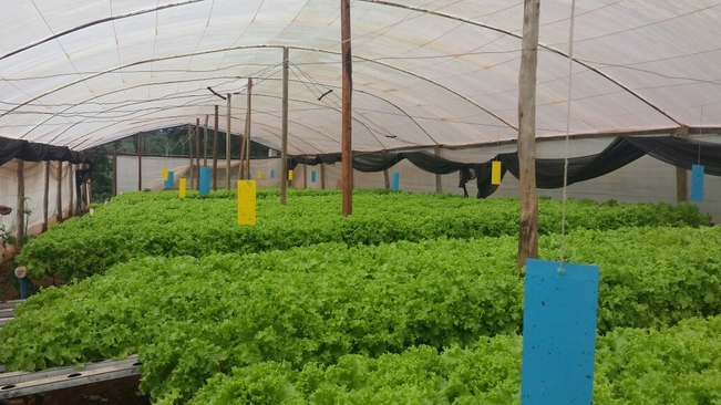 CAE realiza visitas a Produtores Rurais